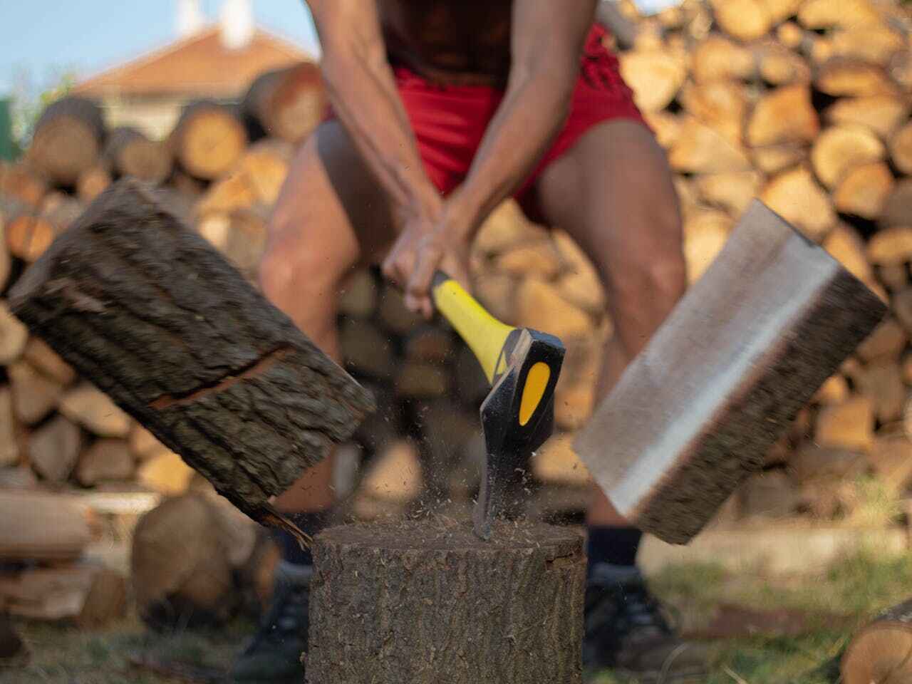 Best Palm Tree Trimming  in Atlanta, IL